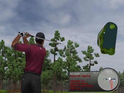 Tiger Woods ManualTiger Woods Manual